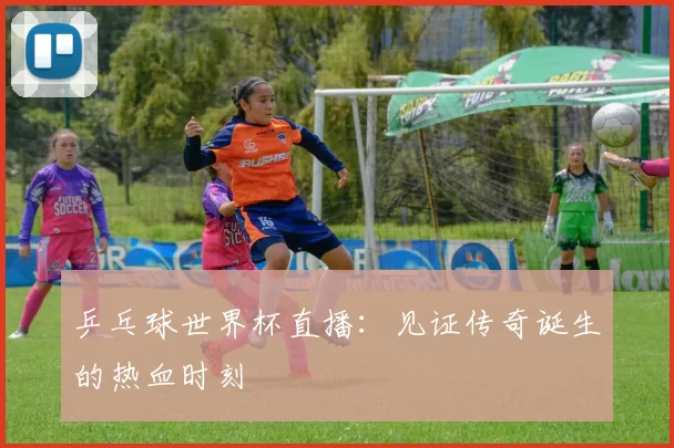 乒乓球世界杯直播:见证传奇诞生的热血时刻