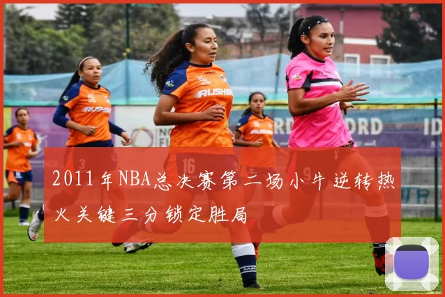 2011年NBA总决赛第二场小牛逆转热火关键三分锁定胜局