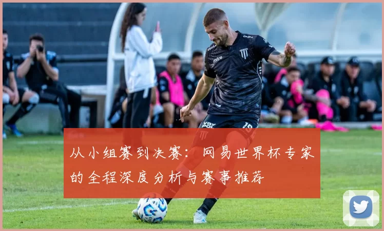 从小组赛到决赛:网易世界杯专家的全程深度分析与赛事推荐