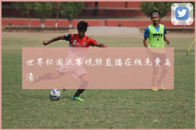 世界杯淘汰赛视频直播在线免费高清