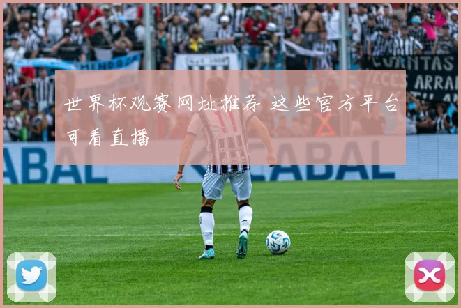 世界杯观赛网址推荐 这些官方平台可看直播