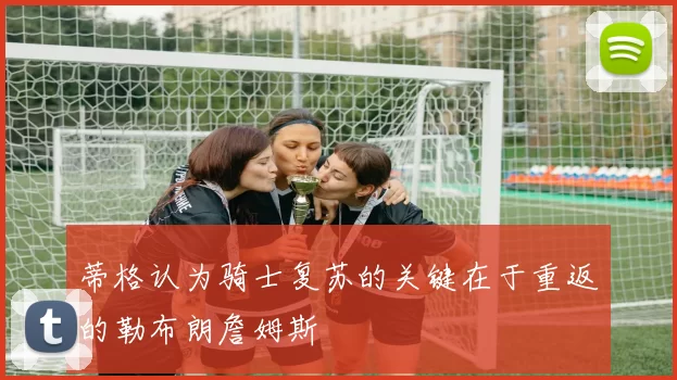 蒂格认为骑士复苏的关键在于重返的勒布朗詹姆斯