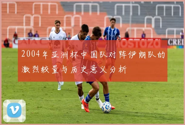 2004年亚洲杯中国队对阵伊朗队的激烈较量与历史意义分析