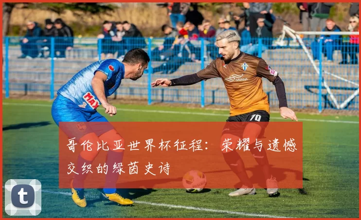 哥伦比亚世界杯征程：荣耀与遗憾交织的绿茵史诗