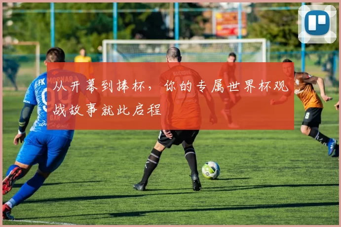 从开幕到捧杯,你的专属世界杯观战故事就此启程