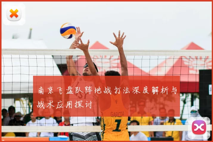 南京飞盘队阵地战打法深度解析与战术应用探讨