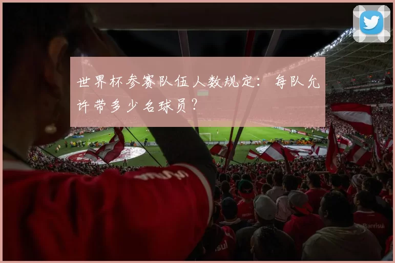 世界杯参赛队伍人数规定：每队允许带多少名球员？