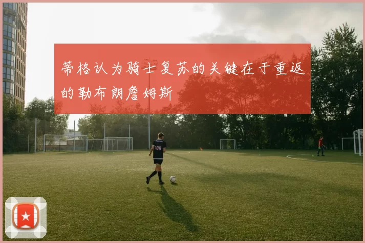 蒂格认为骑士复苏的关键在于重返的勒布朗詹姆斯