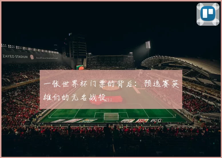 一张世界杯门票的背后:预选赛英雄们的无名战役