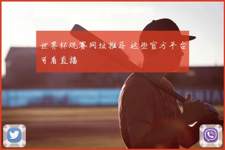 世界杯观赛网址推荐 这些官方平台可看直播