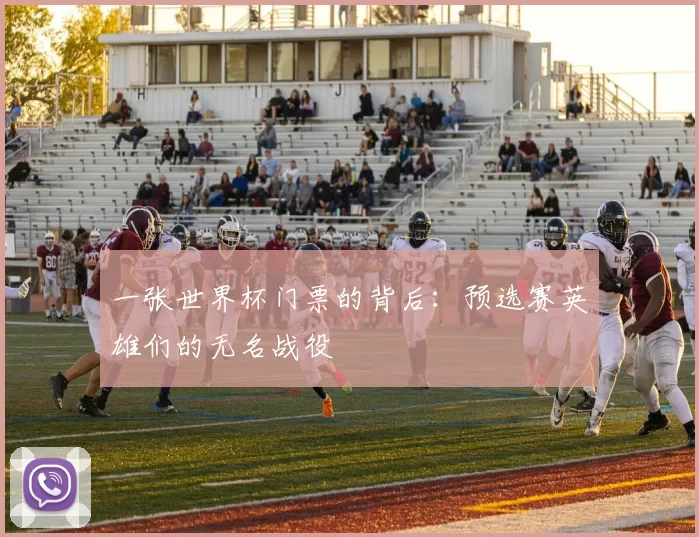 一张世界杯门票的背后:预选赛英雄们的无名战役