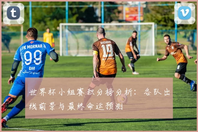 世界杯小组赛积分榜分析:各队出线前景与最终命运预测